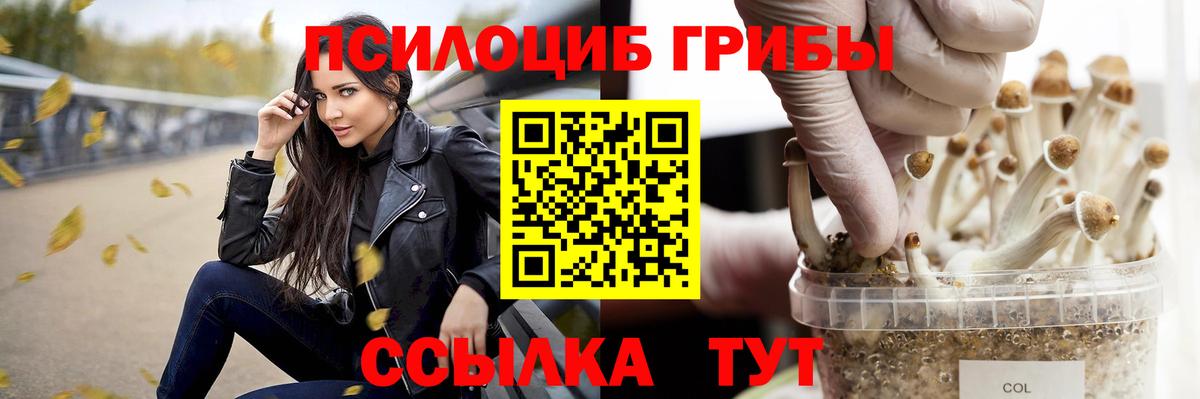 Псилоцибиновые грибы Cubensis  Вход с VPN  Псилоцибиновые грибы MAGIC MUSHROOMS  Медногорск 